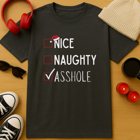 Nice, Naughty, Asshole T-Shirt